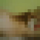  ,   Muzaffar, 35 ,   ,   , c 