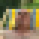  ,   Shako, 51 ,   ,   , c 