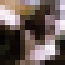 ���������� ������, ���� ����� ���������, 22 ����, ������������ ��� ������, ����� � ���������, c�������� ���������, ���������