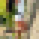  ,   , 36 ,   