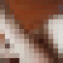  ,   , 21 ,     , c 