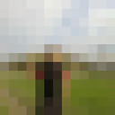  ,   , 51 ,   ,   , c 