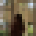  ,   , 23 ,   ,   , c , 