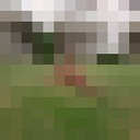 ,   , 63 ,   ,   , c 