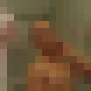 ���������� ���������, ���� ������� ��������, 44 ����, ������������ ��� ������