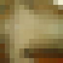  ,   Rasta, 35 ,  