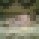  ,   060350983, 59 ,  