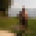  ,   , 60 ,   ,   , 