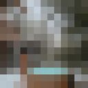 ���������� ������, ���� ������� �����, 41 ���, ������������ ��� ������, ����� � ���������