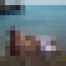 ���������� ��������, ���� ������� ������, 38 ���, ������������ 