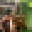  Norden,   Andris, 33 ,   ,   , c , 