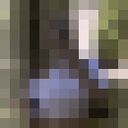 ���������� �����, ���� ������� �������, 22 ����, ������������ ��� ������, ����� � ���������, c�������� ���������