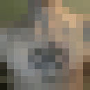 ���������� �������������, ���� ������� ����, 34 ����, ������������ 