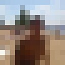 ���������� �����������, ���� ������� �����, 37 ���, ������������ ��� ������, ����� � ���������