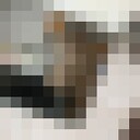 ���������� ���������, ���� ����� ������, 23 ����, ������������ ��� ������, ����� � ���������