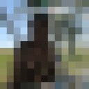 ���������� ������, ���� ������� ������, 34 ����, ������������ ��� ������, ����� � ���������