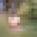  ,   , 31 ,   ,   , c , 