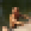  ,   , 32 ,  
