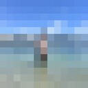 ���������� ���������, ���� ������� ������, 27 ���, ������������ ��� ������, ����� � ���������