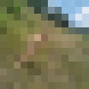 ���������� �������, ���� ������� ����, 35 ���, ������������ ��� ������, ����� � ���������