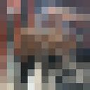  -,   Javoxirbek, 25 ,   ,   