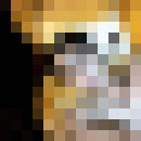  ,   Farruxjon, 37 ,   ,   , c 