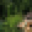 ������� ����������