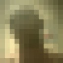 ���������� ������, ���� ������� �������, 35 ���, ������������ 