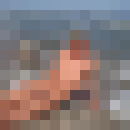  ,   , 54 ,     , c 