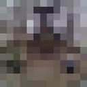  ,   , 37 ,     , c 