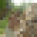  ,   Aleksandr, 59 ,   