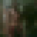  -,   , 32 ,  