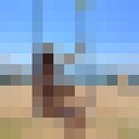 ���������� ������, ���� ������� �����, 32 ����, ������������ ��� ������, ����� � ���������, c�������� ���������