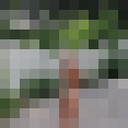 ���������� ������, ���� ������� ����������, 38 ���, ������������ ��� ����� � ���������, c�������� ���������