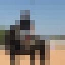 ���������� ������, ���� ������� �������, 27 ���, ������������ ��� ������, ����� � ���������