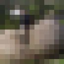  ,    , 39 ,   