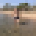 ���������� ����, ���� ������� �������, 41 ���, ������������ ��� ������, ����� � ���������, c�������� ���������