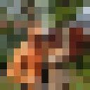 ���������� �������, ���� ������� ������, 47 ���, ������������ ��� ����� � ���������, c�������� ���������