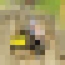 ���������� ������, ���� ������� �������, 32 ����, ������������ ��� ������, ����� � ���������, ���������