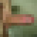 ���������� �����-���������, ���� ������� Aliew, 46 ���, ������������ 