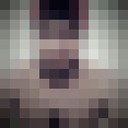  ,   Sher, 32 ,   ,   , c 