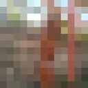 ���������� �������, ���� ������� ������, 47 ���, ������������ ��� ����� � ���������, c�������� ���������