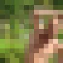  ,   , 53 ,   ,   , c , 