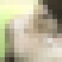 ���������� ������, ���� ������� �����, 27 ���, ������������ ��� ������, ����� � ���������