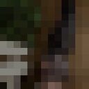 ���������� ����, ���� ������� �����, 20 ���, ������������ ��� ������, ����� � ���������, ���������