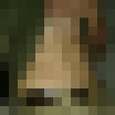  ,   , 31 ,   ,   , c , 