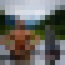 ���������� �����������, ���� ������� ������, 33 ����, ������������ ��� ������, ����� � ���������, ���������