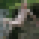 ,   Hunn4, 61 ,   ,   , c , 