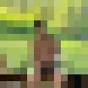  ,   , 35 ,   c , 