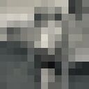 ���������� �����, ���� ������� �������, 36 ���, ������������ 